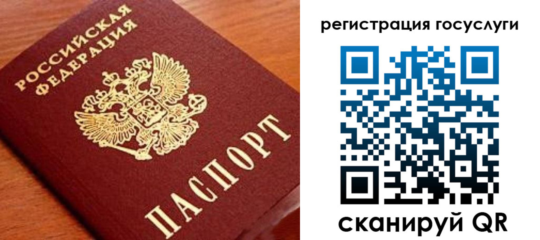 прописка иностранных граждан в Острове